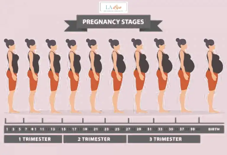 First Trimester (Weeks 1–12): Early Changes You Might Not Notice Nottinghamshire